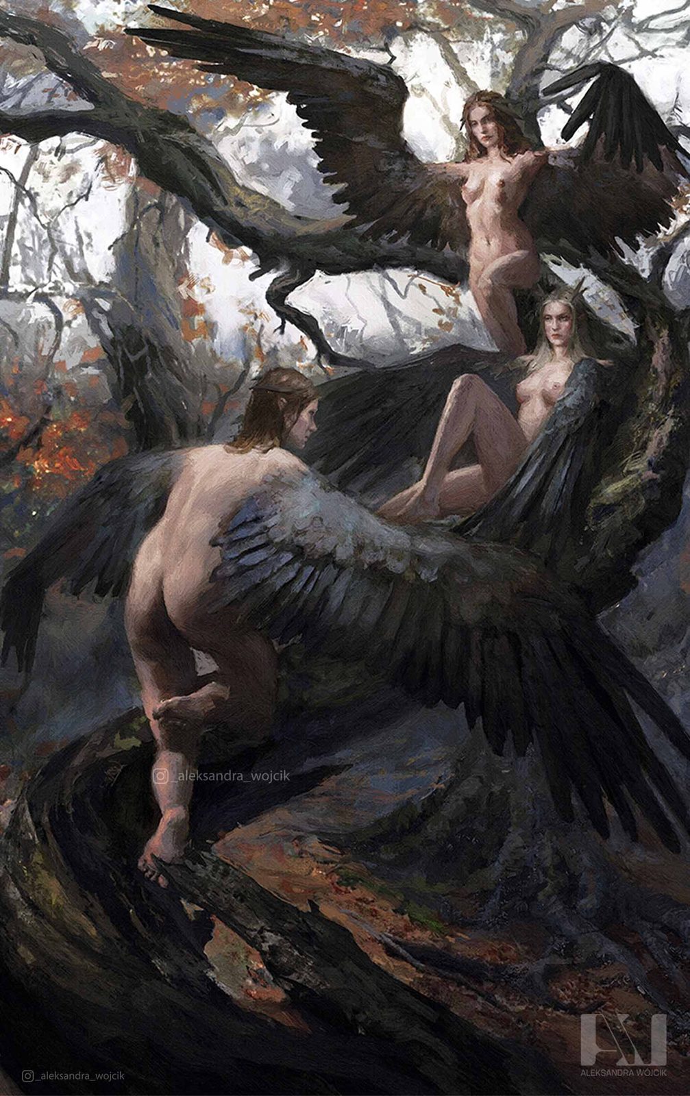 Harpy — illustration by Aleksandra Wojcik